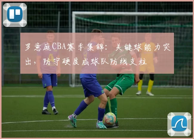 罗意庭CBA赛季集锦：关键球能力突出，防守硬度成球队防线支柱