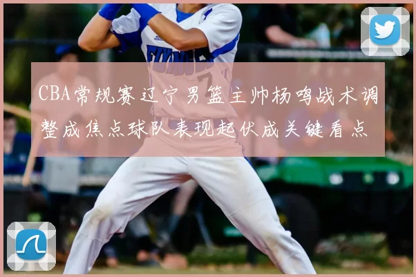 CBA常规赛辽宁男篮主帅杨鸣战术调整成焦点球队表现起伏成关键看点