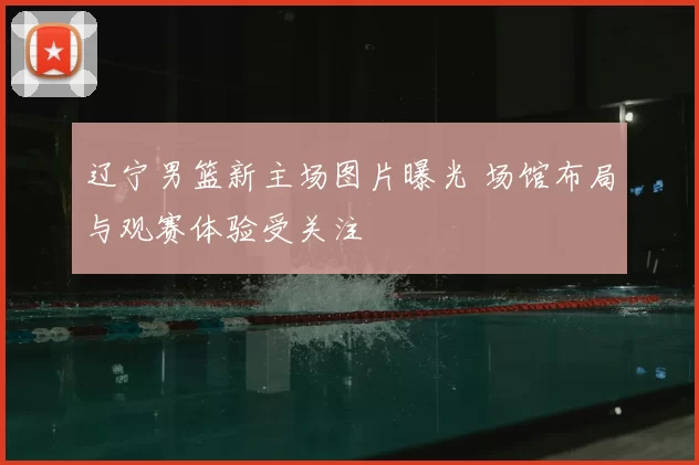 辽宁男篮新主场图片曝光 场馆布局与观赛体验受关注