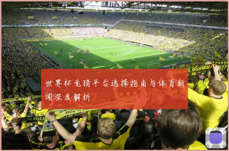 世界杯竞猜平台选择指南与体育新闻深度解析