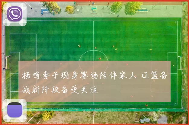 杨鸣妻子现身赛场陪伴家人 辽篮备战新阶段备受关注